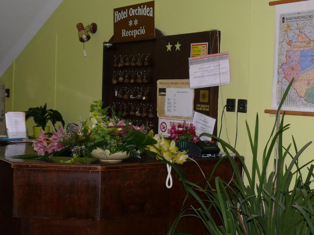 Hotel Orchidea Balástya Eksteriør billede